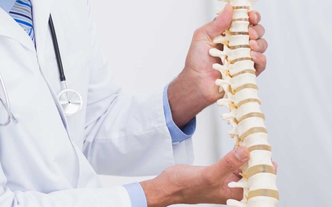 How Chiropractic Adjustments Relieve Back Pain Effectively